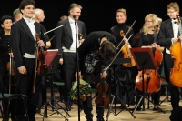 295 Wszystkie Strony Świata 2016, fot. Krzysztof Wójcik